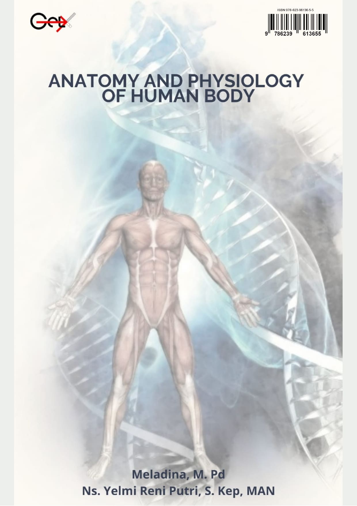 Anatomy And Physiology Of Human Body
